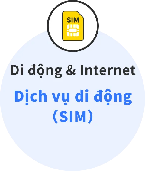  Dịch vụ SIM di động cho điện thoại và Internet